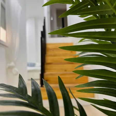 Interior -hawkins Costa 1b